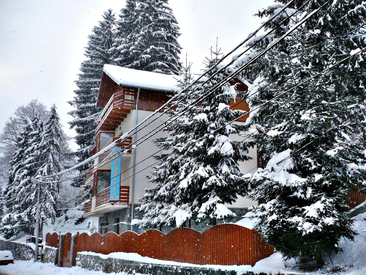 Pension Casa Soarelui Sinaia Exteriör bild